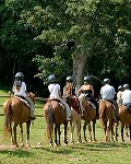 Horseback Riding in Belize